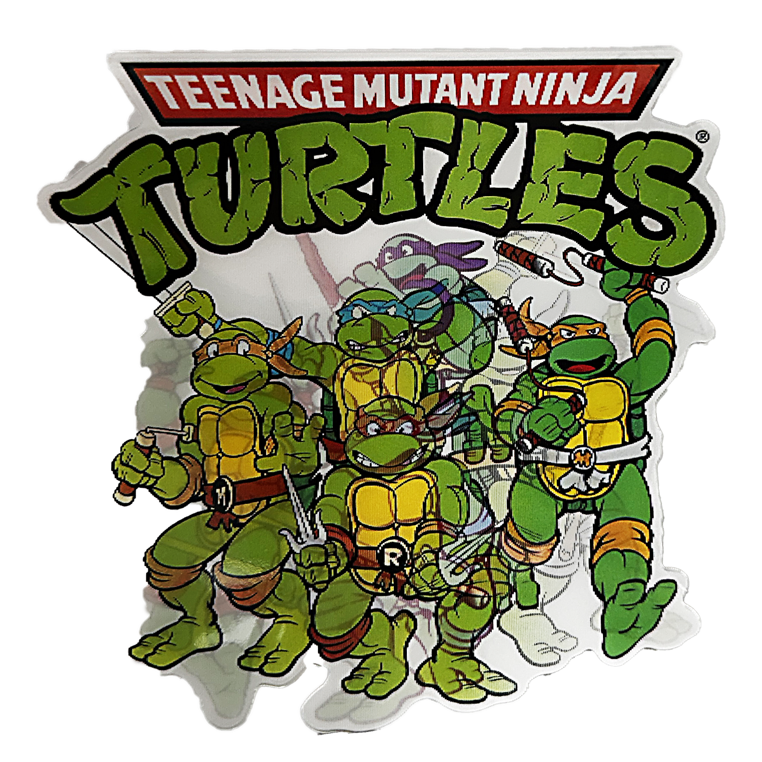 3D3DK069 Teenage Mutant Ninja Turtles Sticker