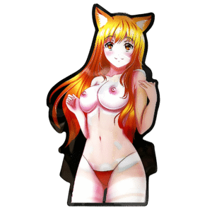 3D3DK171 Anime XXX Dakimakura Sticker