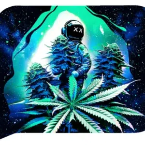 FRT3D-SM-004 Get Lost Small 3D Rolling Tray With Magnetic Lid Cover (Astronaut Weed Harvest)