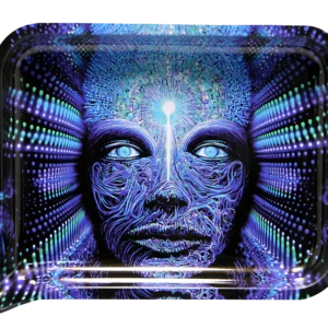FRT3D-SM-005 Get Lost Small 3D Rolling Tray With Magnetic Lid Cover (Blue Alien Lost Guy)