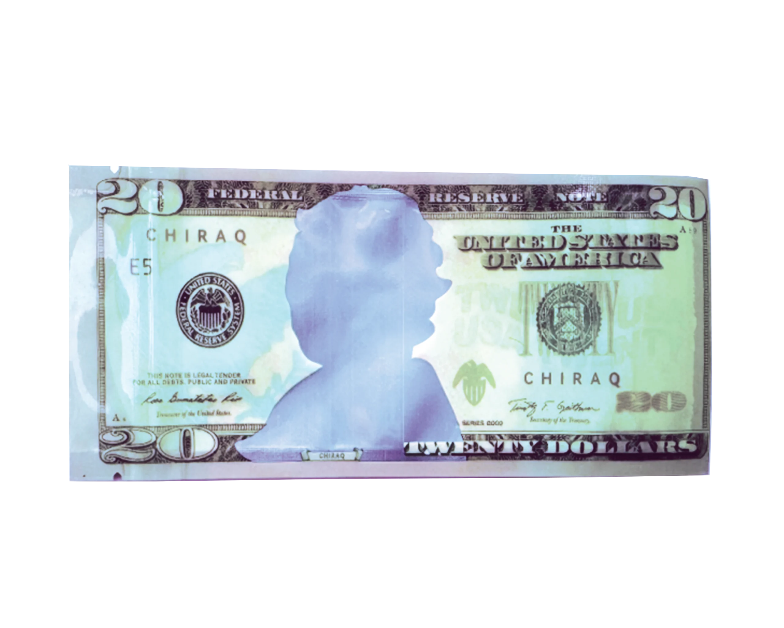 3.5 Gram Money Mylar Bag – Premium Smell-Proof Packaging – Twenty Dollar Bill Who (50 Count) MMB-35G-008