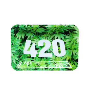 STNL-004 Small Tray No Lid - 420 Weed