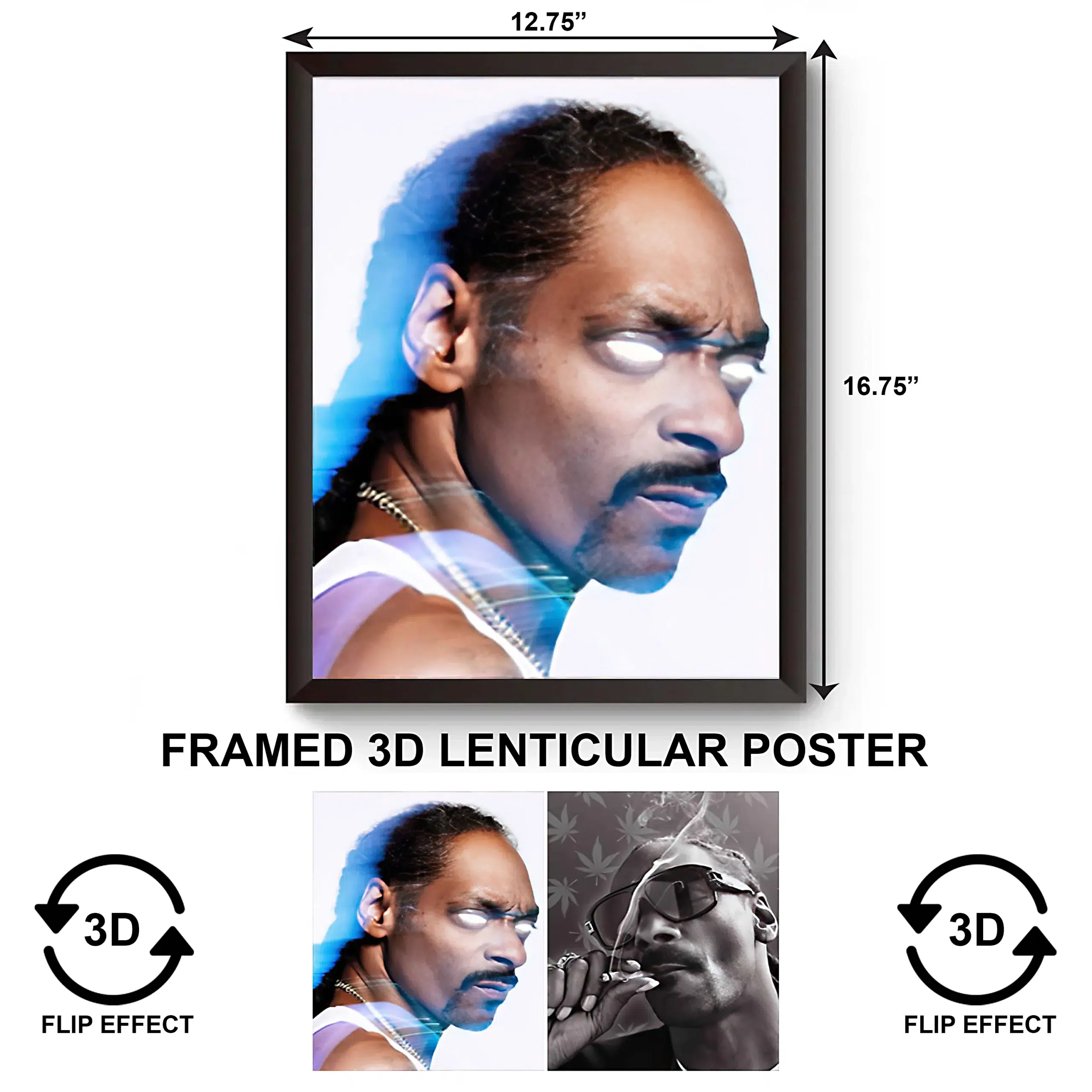 3DPWF-090 Music - Snoop Dog Framed Poster
