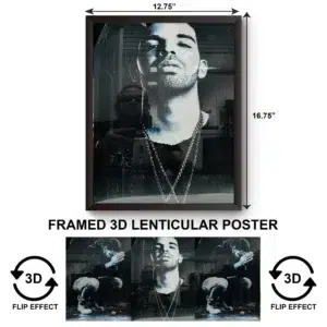 3DPWF-112 Music - Drake Framed Poster