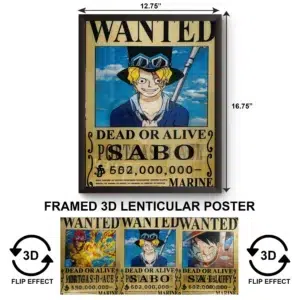 3DPWF-117 Anime - One Piece Wanted Framed Poster