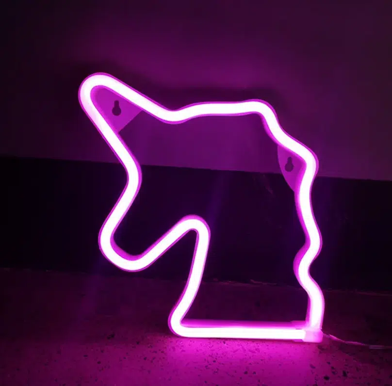 SNL-011P - Small Neon Hanging Light - Unicorn Pink