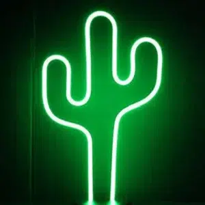 SNL-021 - Small Neon Hanging Light -Cactus