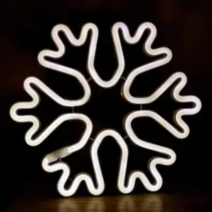 SNL-023 - Small Neon Hanging Light - Snow Flake