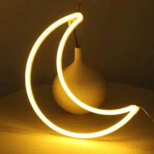 SNL-025 - Small Neon Hanging Light - Crescent Moon