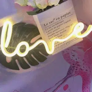 SNL-028WC - Small Neon Hanging Light - Love Sign Warm Color