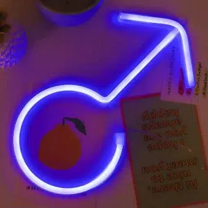 SNL-040B - Small Neon Hanging Light - Boy Sign