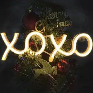 SNL-055 - Small Neon Hanging Light - Hugs and Kisses XOXO WC