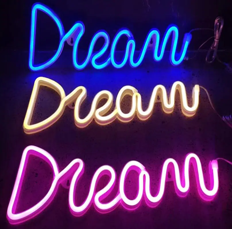 SNL-058 - Small Neon Hanging Light - Dream WC - Image 2