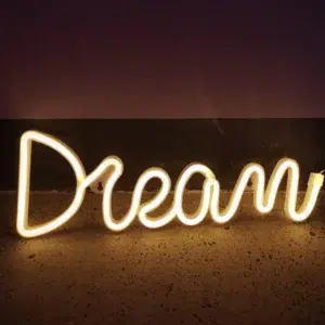 SNL-058 - Small Neon Hanging Light - Dream WC