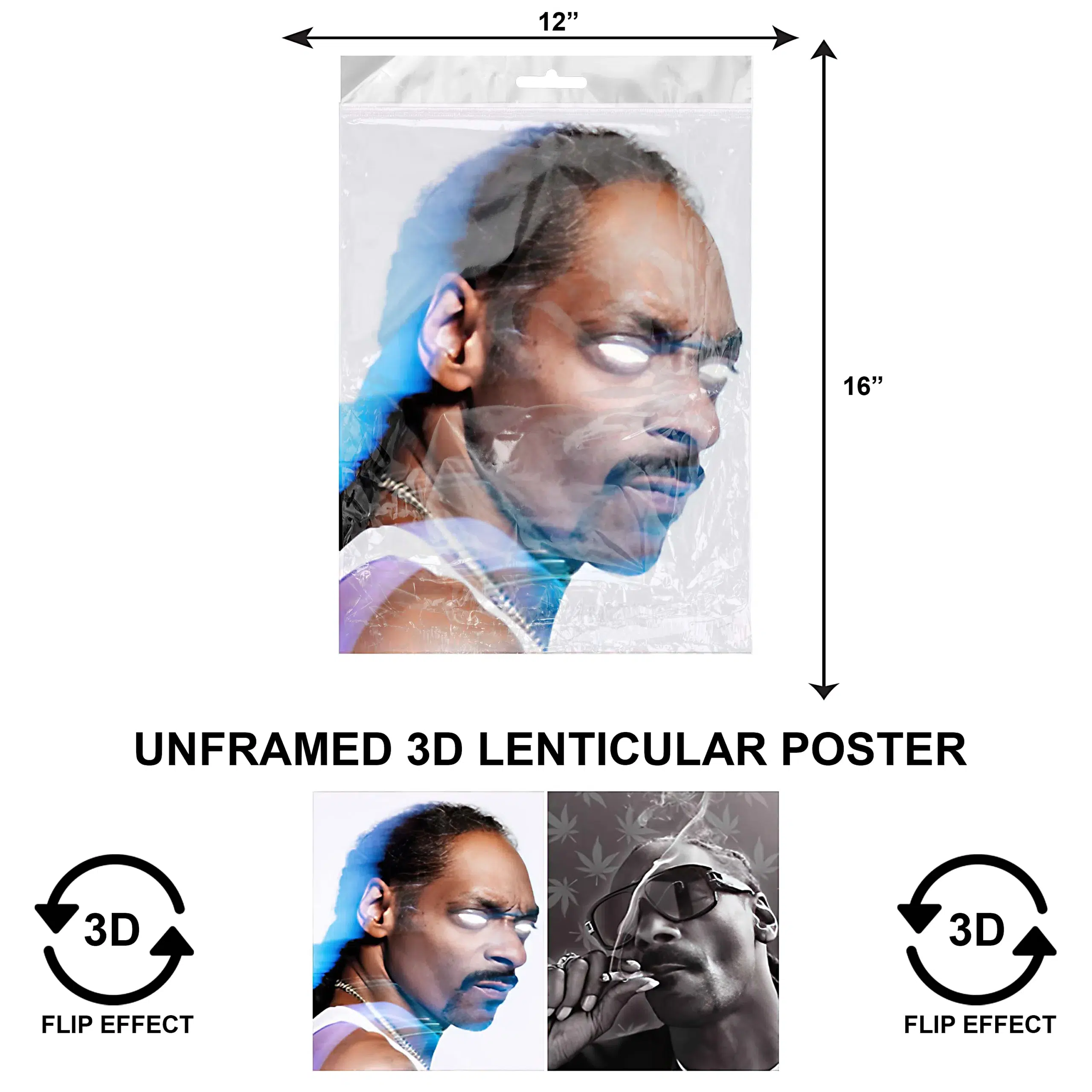 3DPNF-134 Music - Snoop Dog UnFramed Poster