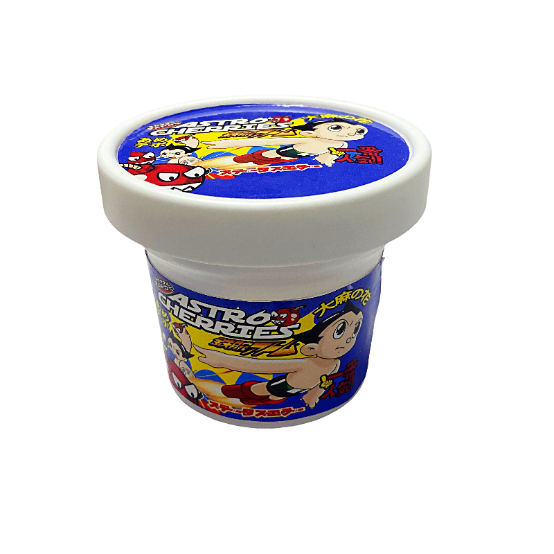 12 Pack - Ice Cream Pint Style Plastic Storage Containers with Lids - Astro Cherries Kandy Depo - ICJAR-001