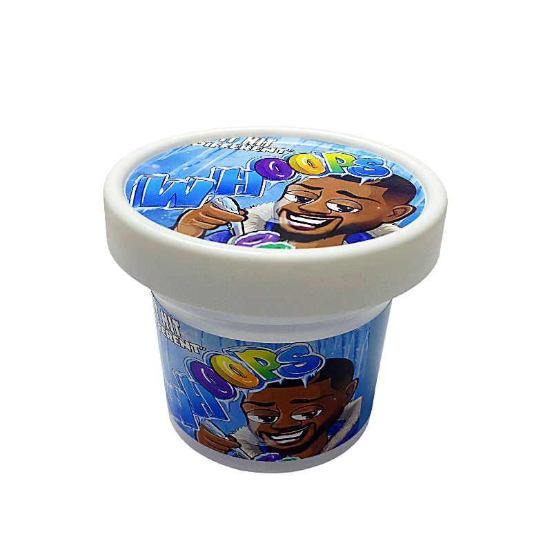 12 Pack - Ice Cream Pint Style Plastic Storage Containers with Lids - Whoops - ICJAR-015