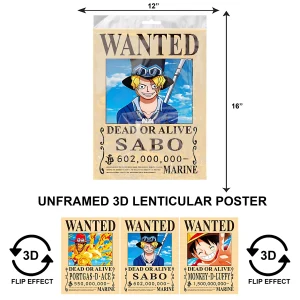 3DPNF-055 Anime - Wanted Monkey D. Luffy UnFramed Poster