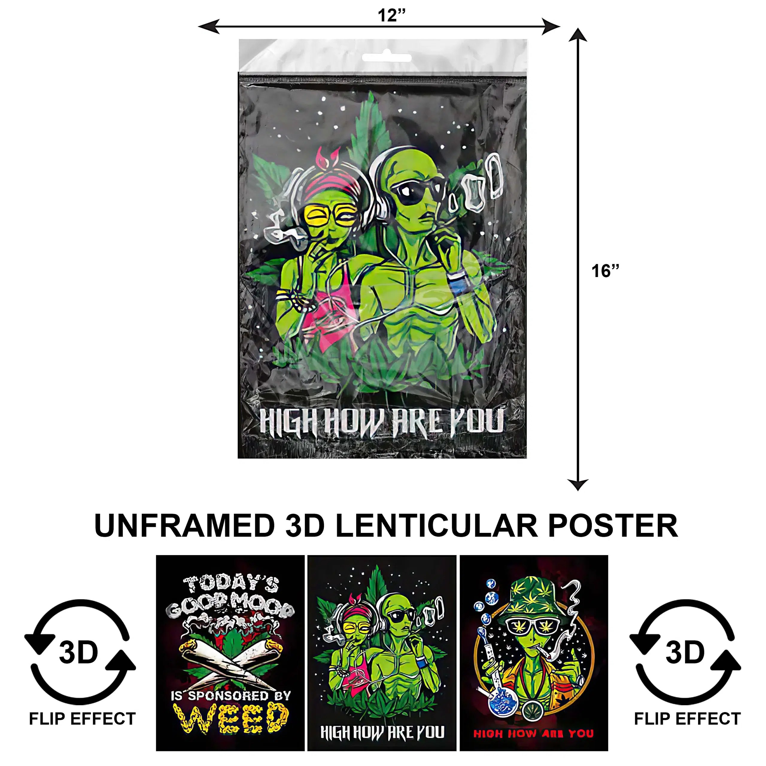 3DPNF-140 Stoned - High How Are You UnFramed Poster