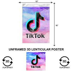 3DPNF-153 - Social Media - Tik Tok UnFramed Poster