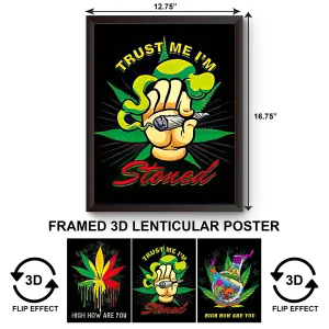 3DPWF-078 Stoned - Trust Me I Am Stoned Framed Poster