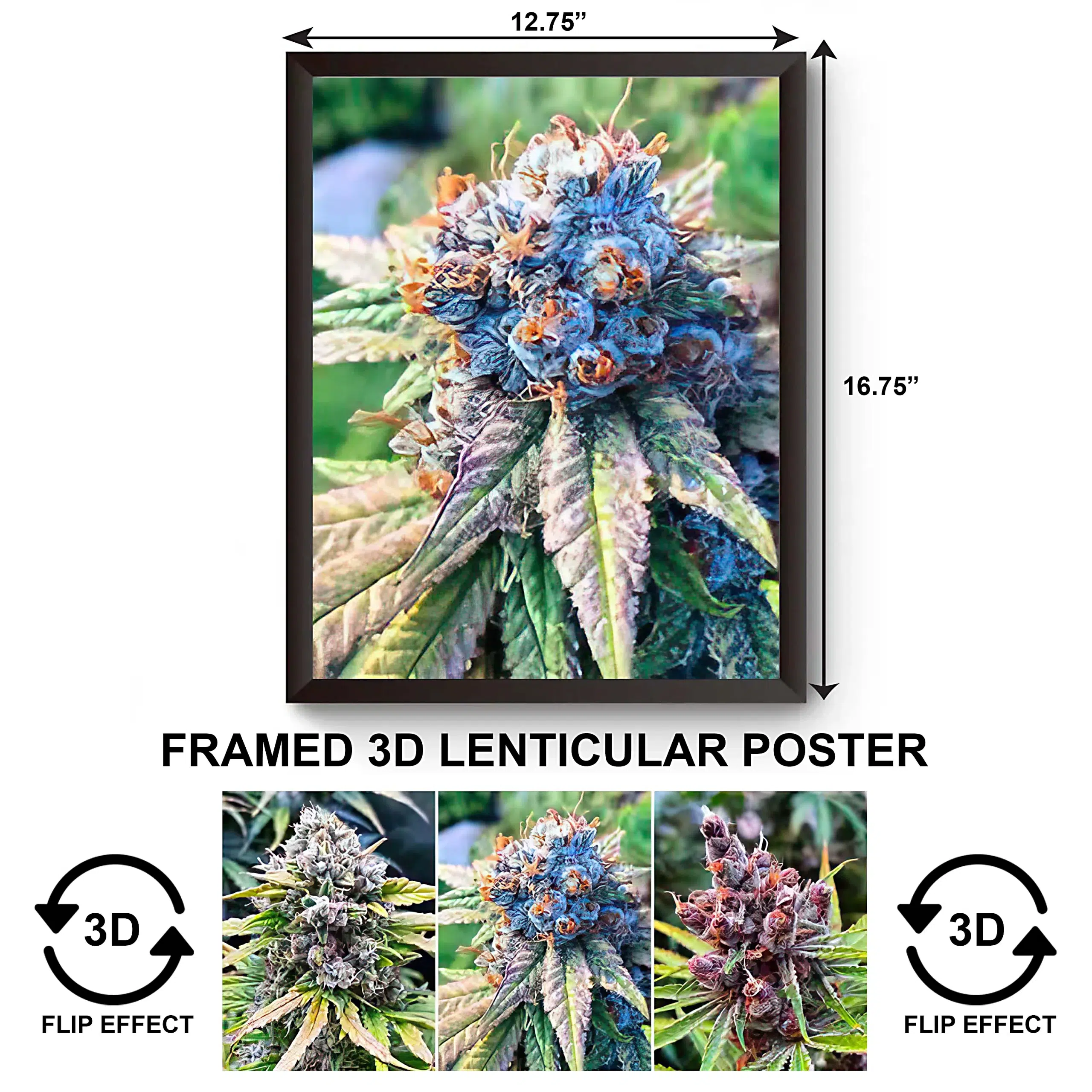 3DPWF-081 Stoned - Weed Flower Framed Poster