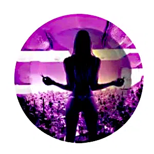 ASH016 Tin Ashtray 5.5"x5.5" Bikini Girl in Purple Weed Field