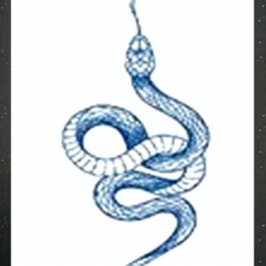 GLB-016 Semi Permanent Tattoo 2.75"x4.75"
